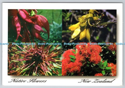 D323405 Heimische Blumen Neuseelands. Universalpost. Auckland. Multi View