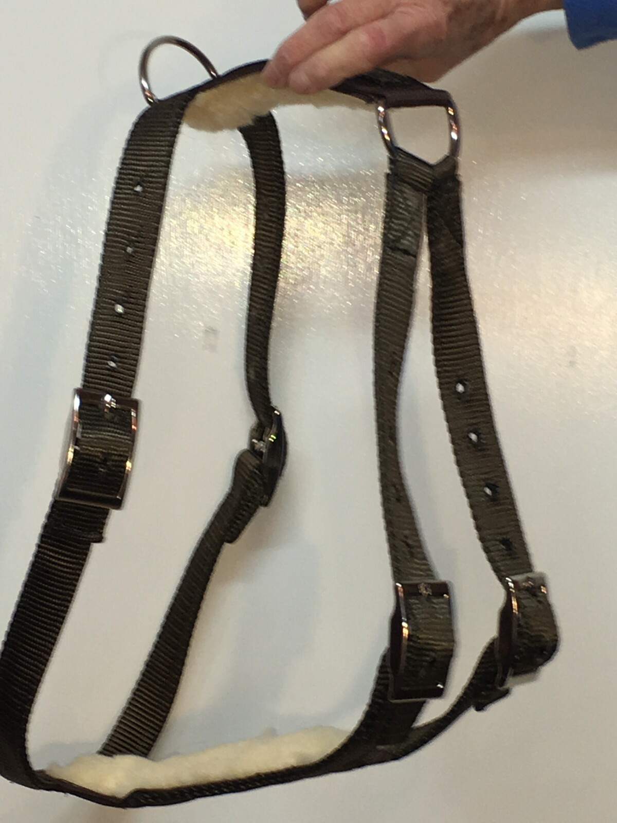 Picture 6 of 10