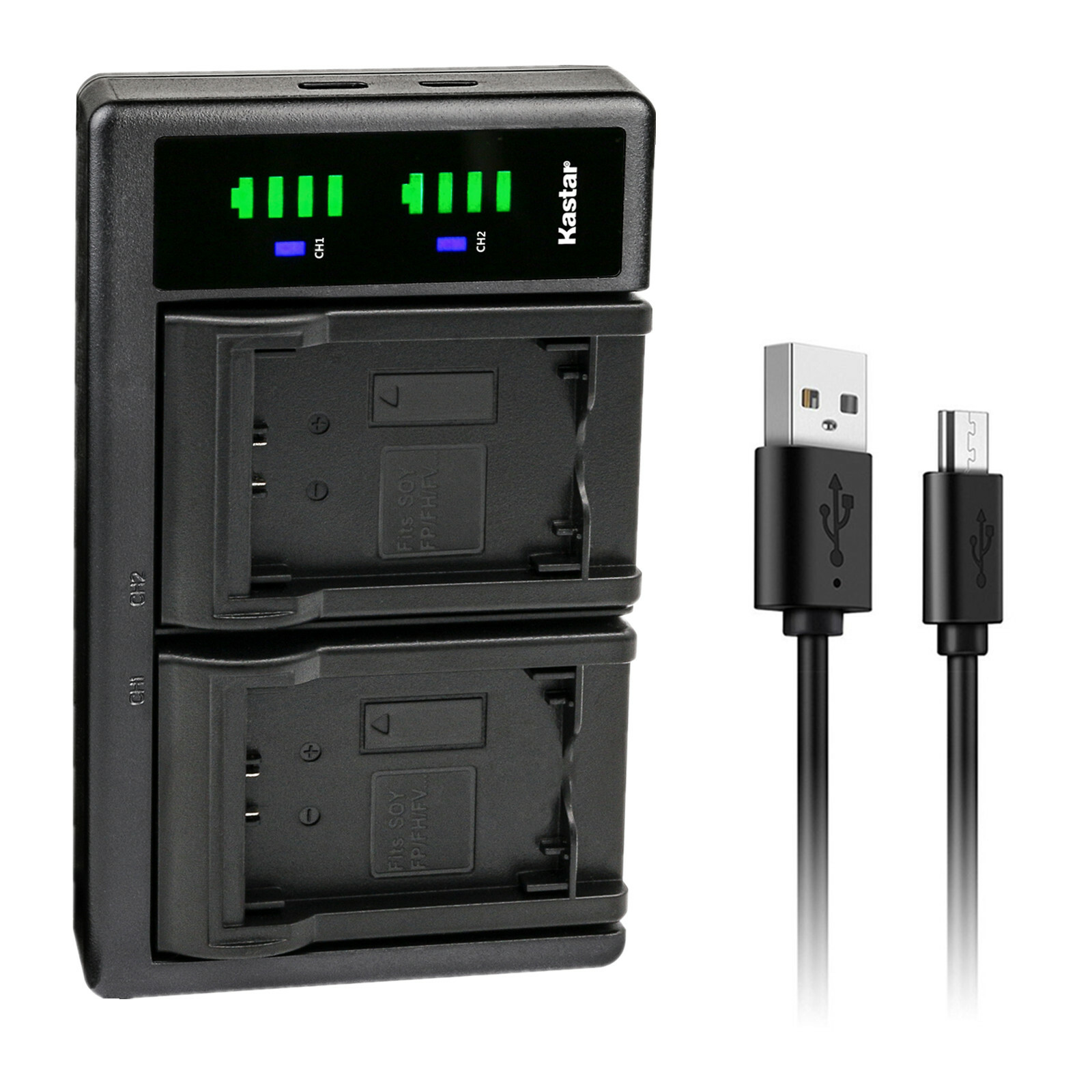 Kastar Battery LCD Dual Charger for Sony NP-FH30 NP-FH40 NP-FH50 NP-FH70 NPFH100