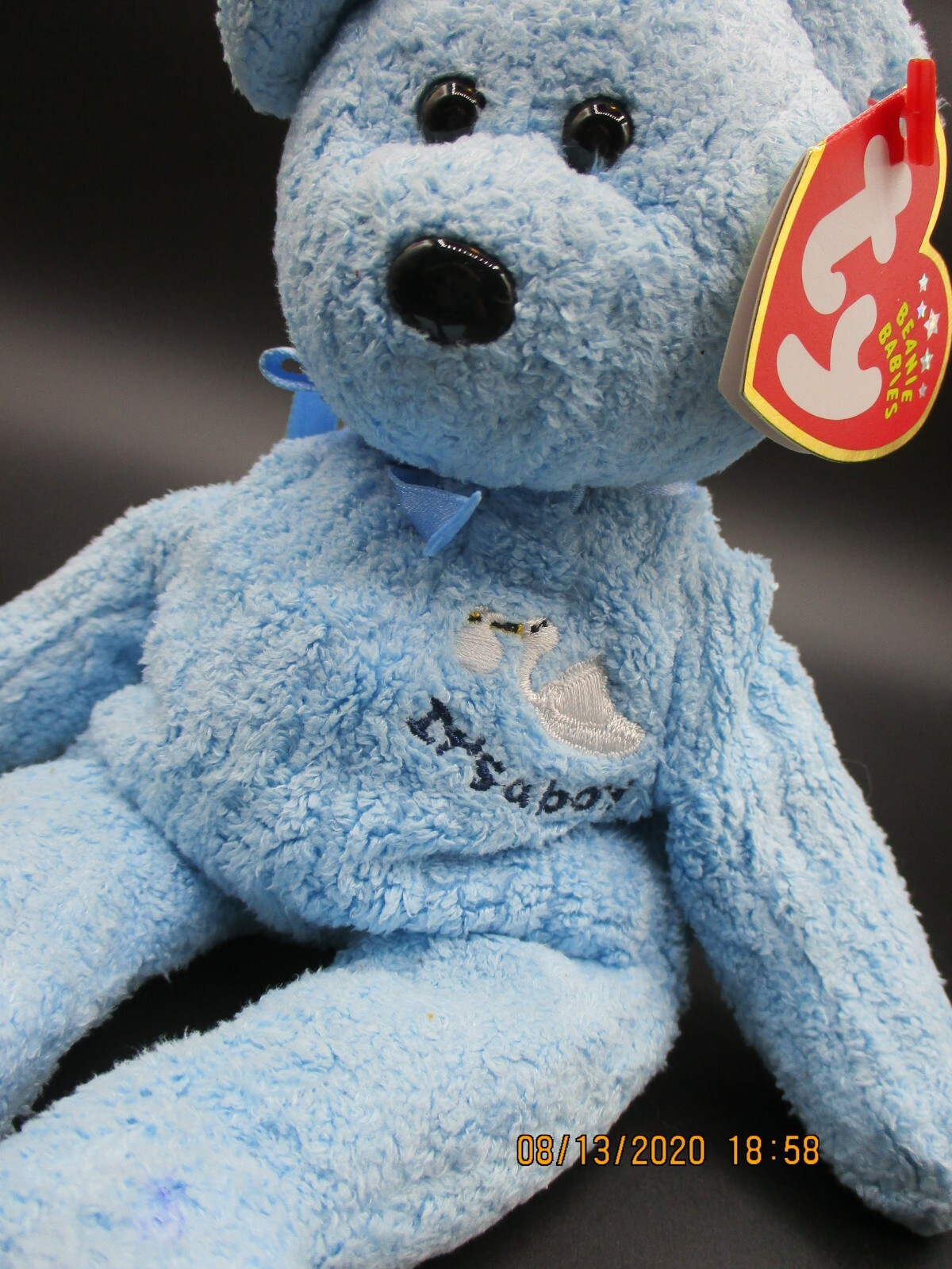 its a boy beanie baby