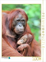 Calvendo Puzzle Mother With Baby | 1000 Pieces, Finished Size 25.2 × 18.9 In (64