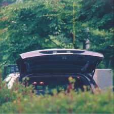 ISHIBASHI, Eiko/JIM O'ROURKE - Pareidolia - Vinyl (12")