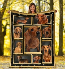 Dachshund Doxie Wiener Dog Funny Dog Lover Gift Plush Fleece SOFA BLANKET