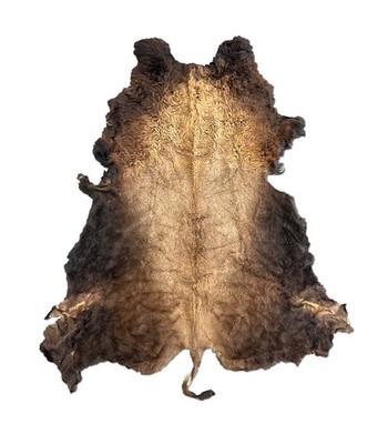 New Buffalo Bison Hide Rug Robe - Massive 7' x 11' - Super Soft Veg Tanned