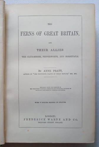 Pratt, Anne - Ferns of Great Britain and their Allies - (circa 1850) - Picture 2 of 5