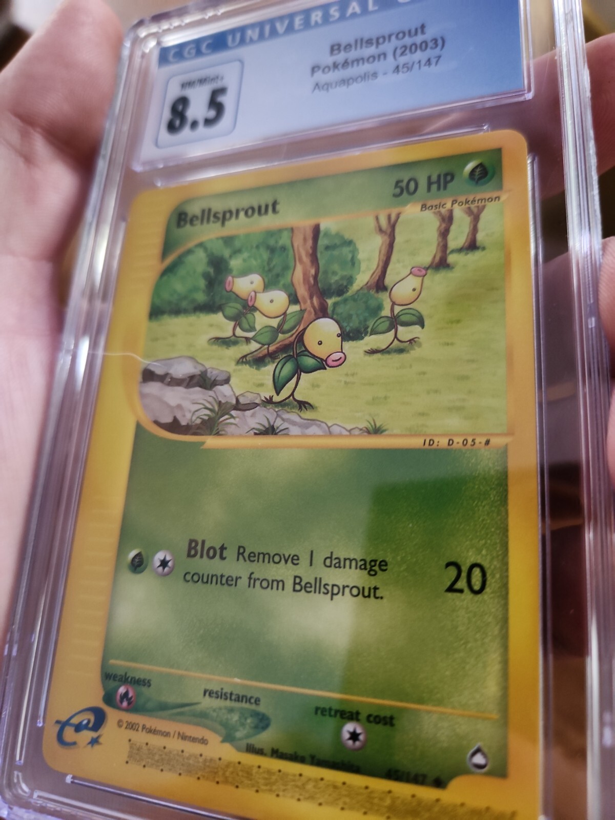 Bellsprout - 45/147 - PSA CGC 8.5 NM/Mint+ - Aquapolis eReader Pokemon (Pop 4)!