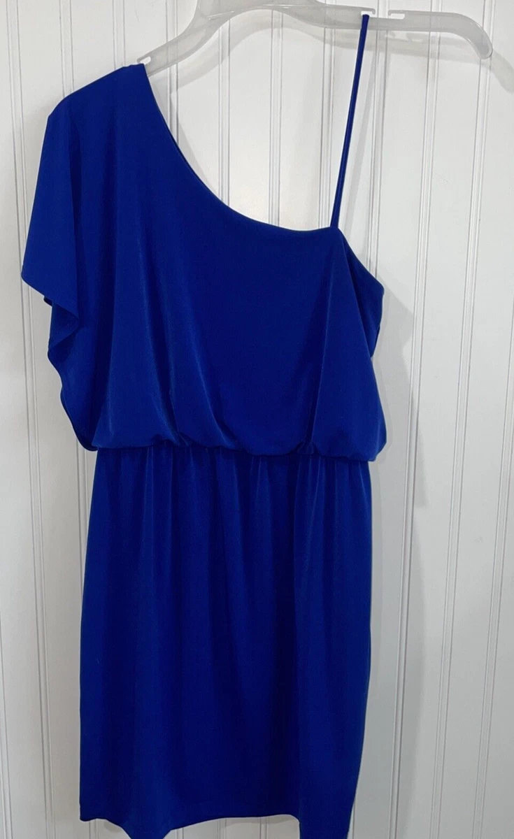 Sweet storm royal store blue dress
