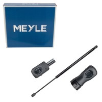 Meyle 2409100031 HeckklappendäMpfer DäMpfer Heck FüR Fiat 500L 351 352 51953757