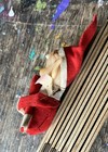 Bild 3 von 6