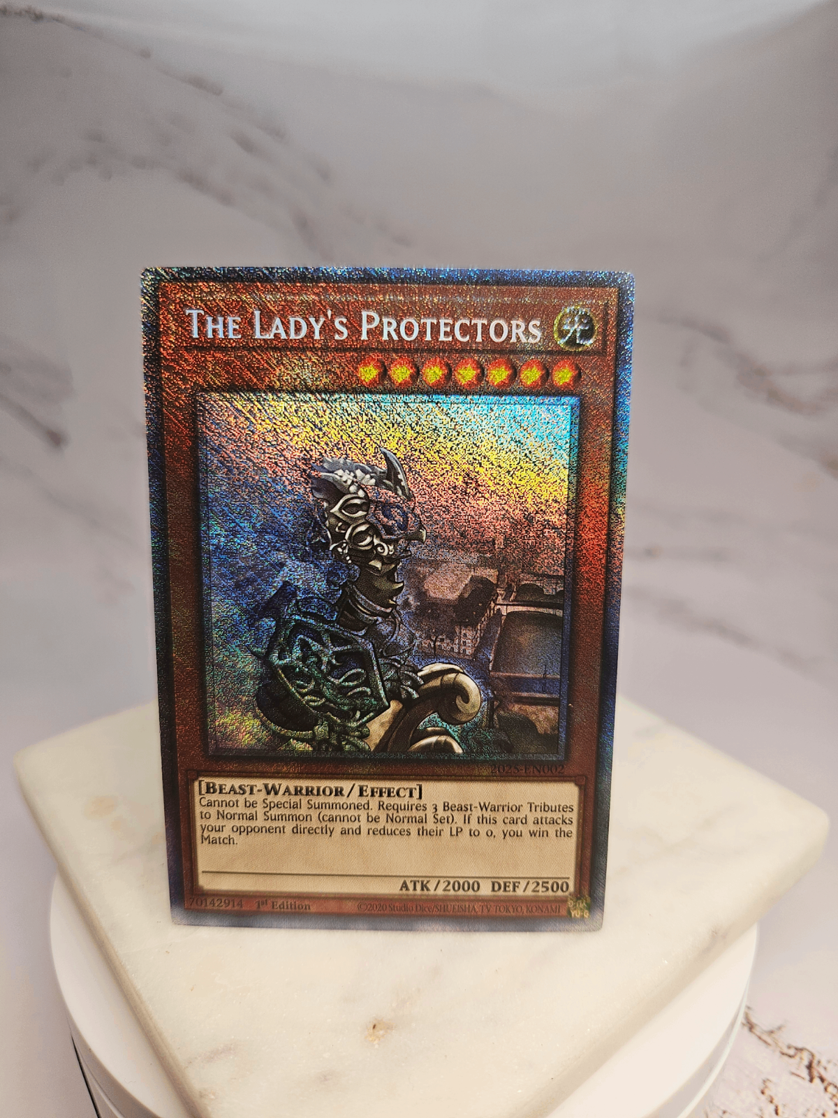The Lady's Protectors