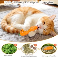 Catnip Cat Toys, Safe Teeth Cleaning Cat Nip Toys for Indoor Kitten Kitty,Int...