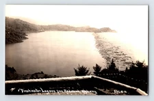 Postcard RPPC California Redwood Lagoon Patterson 832 1930s Unposted EKKP