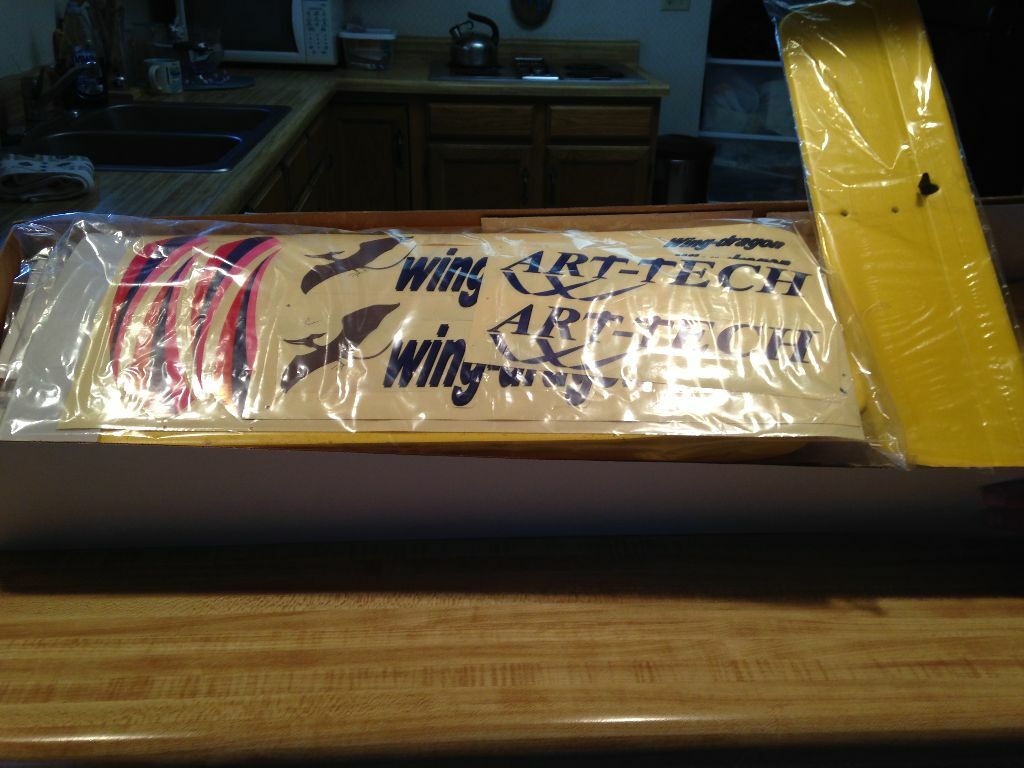 Art Tech Wing Dragon II RC Pusher Glider Trainer Airplane - RTF Version