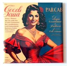 Woman in Red Dress FRIDGE MAGNET fashion advertisement Hispanic Latina "style B"