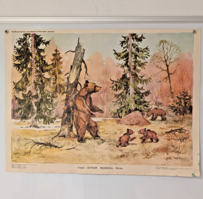 Save Nature Poster   Wild Nature Animals   Rare Soviet Green Party Poster 1984