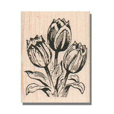 Mounted Rubber Stamp, 3 Tulips, Flowers,Garden,Plants,Nature,Leaves,Plant,Spring
