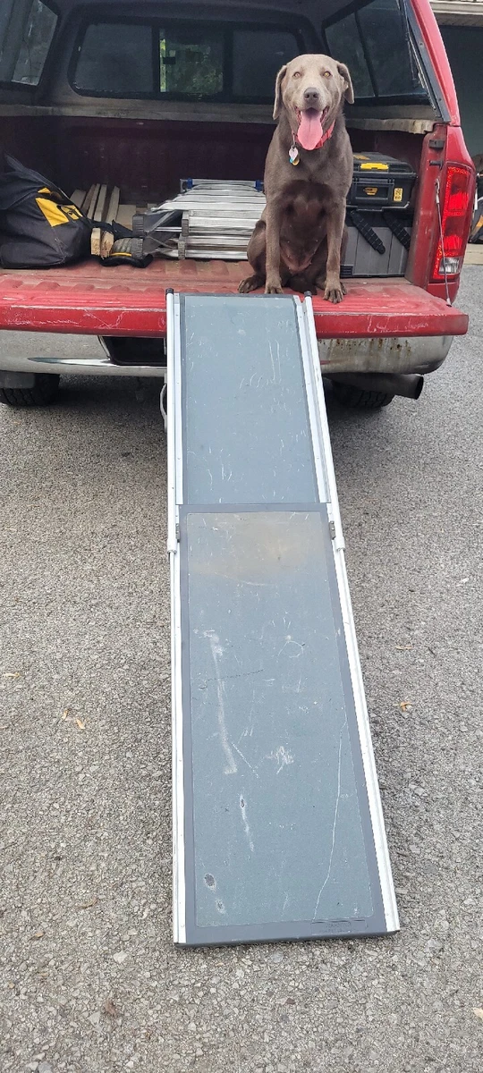 Solvit telescoping pet ramp 2025
