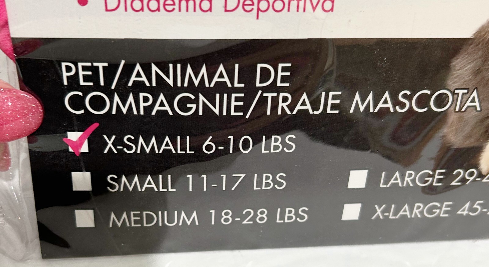 Foto 4 di 5