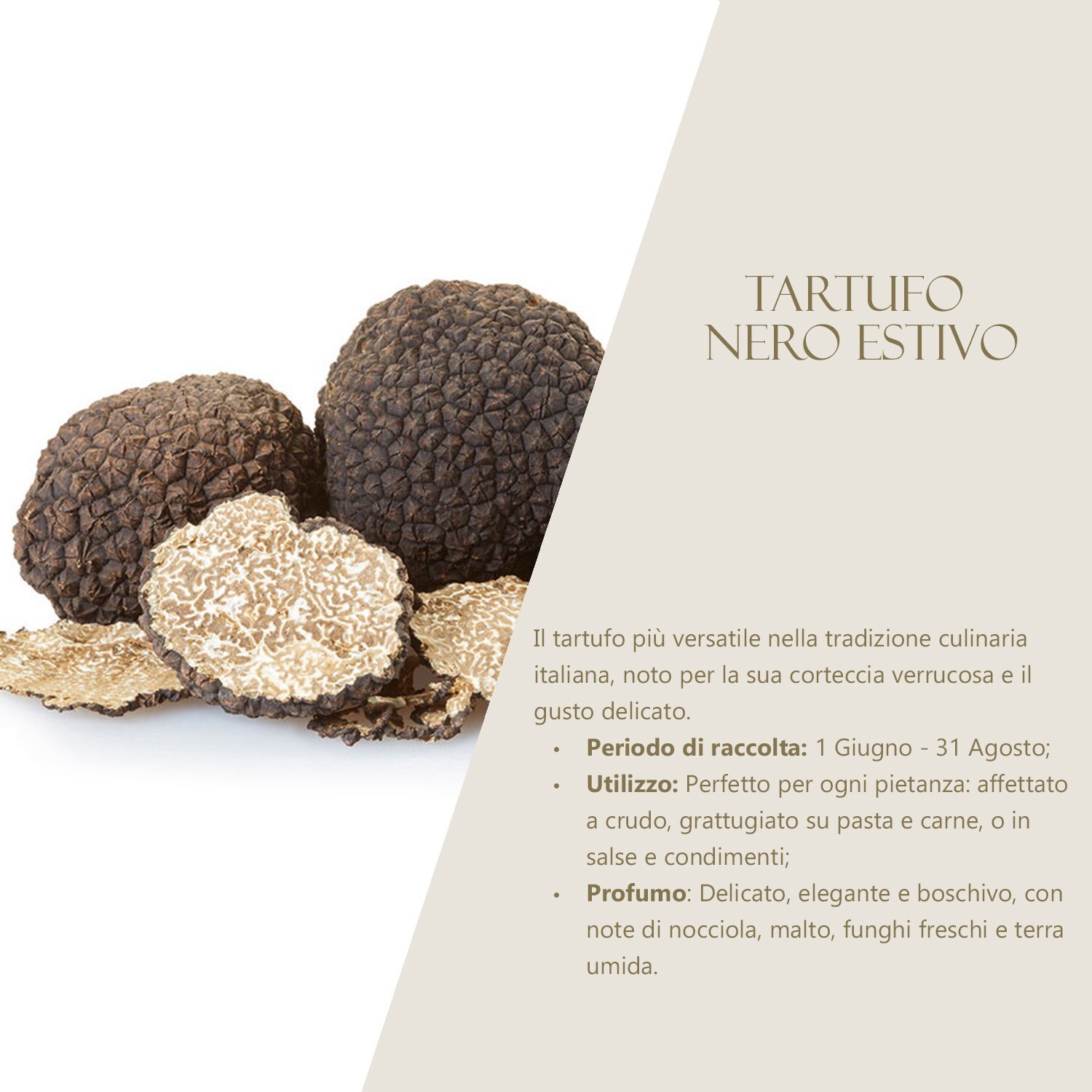 Foto 4 di 4