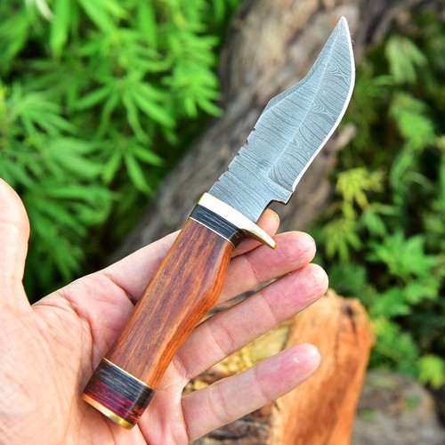 8"EDC  HANDMADE DAMASCUS KNIFE HUNTING SKINNING KNIFE WOOD HANDLE BRASS GUARD - Picture 2 of 6