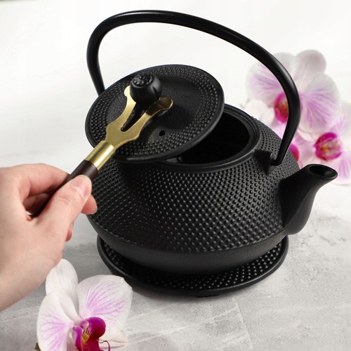 Japanischen TEEKANNE GUSSEISEN SET 850 ML Stövchen Teekessel mit 2 Teebecher - Bild 4 von 15