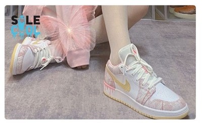Air Jordan 1 Low GS  Arctic Punch Paint Ice Cream Shoes CW7104-601