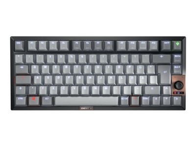 Cherry TAS Keyboard Kw 300 Mx Brown Switch Tastatur QWERTZ G80-3960HIADE-2