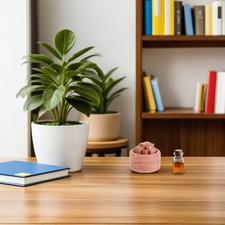 2 Pcs Natural Wood Diffuser Essential Oil Mini Aromatherapy Oils for