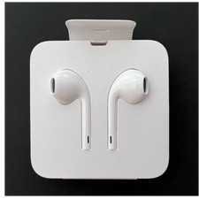 Apple USB-C Wired Earbud Headphones White In Ear Double Earpieces
