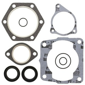 Polaris 300 2 Stroke Engine Complete Gasket Kit Oil Seals 94 99 Ebay