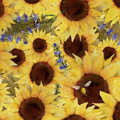 3 Wishes Locally Grown by Beth Albert 20195 Yellow Sunflower Field   Cotton