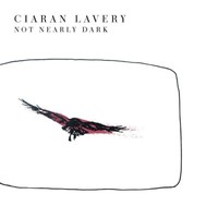 Ciaran Lavery - Not Nearly Dark Cd Neu