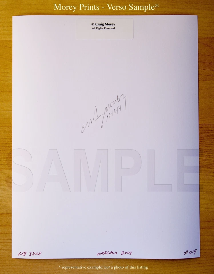 Roxanne 35959.11 Art Model Draped in Chainmail B&W Photo by Craig Morey - Image 2 of 3