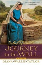 Journey to the Well: A Novel - Paperback By Taylor, Diana Wallis - GOOD