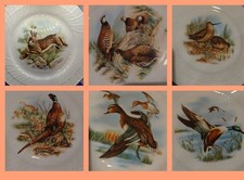 Servizio piatti piani selvaggina Richard Ginori Italy