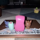 Littlest Pet Shop LPS Blue Husky and German Shepherd bundle — photo 3