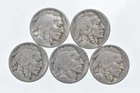 BETTER Lot 1926-S 1925-D 1923-S 1921-S 1928-D Buffalo Nickel Collection *139