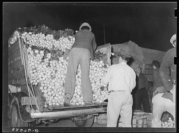 Foto: Camión de descarga de nabos. Mercado de verduras, San Antonio, Texas