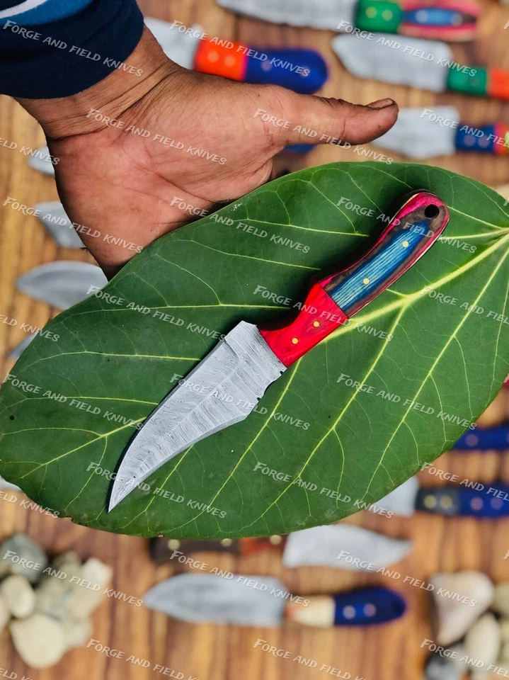 Lot of 50 Custom Handmade Damascus Steel 8" Full Tang Skinner Hunting Knifes USA - Image 3 of 4