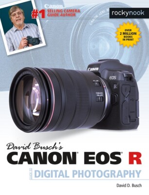 David Busch's CANON EOS R Camera Guide to Digital Photography Book~480 pgs~NEW