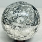 Natural Insectconch fossil crystal Ball Quartz Crystal Sphere Reiki Healing2960G — photo 1