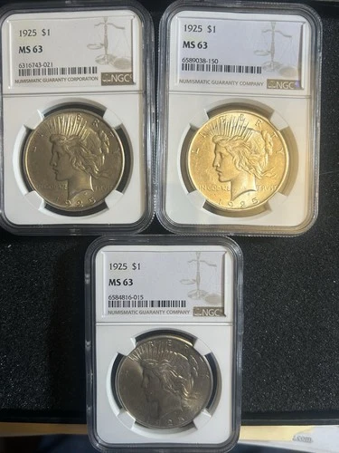 Lot OF (3) 1925 MS63 NGC SILVER PEACE DOLLARS 90% SILVER 🔥🔥📈📈