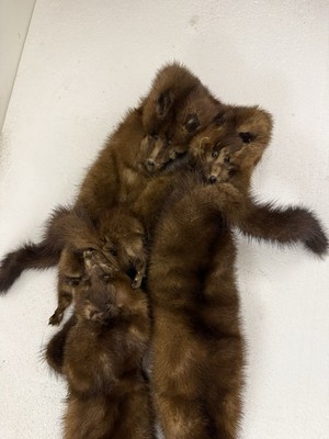小物 L'appartement Mink Fox Line Stole Vintage Mink Fur Full Body Fox Stole Wrap Scarf Brown 4 Pelt Glam
