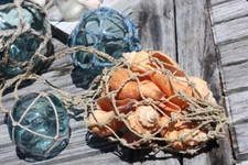 Seashell In Coastal Net Bag - Coastal Living