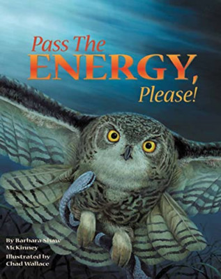 GEBEN SIE BITTE DIE ENERGIE WEITER! PB (Sharing Nature With Childre - Taschenbuch NEU Wallace,