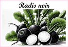 Bild 1 von 13
