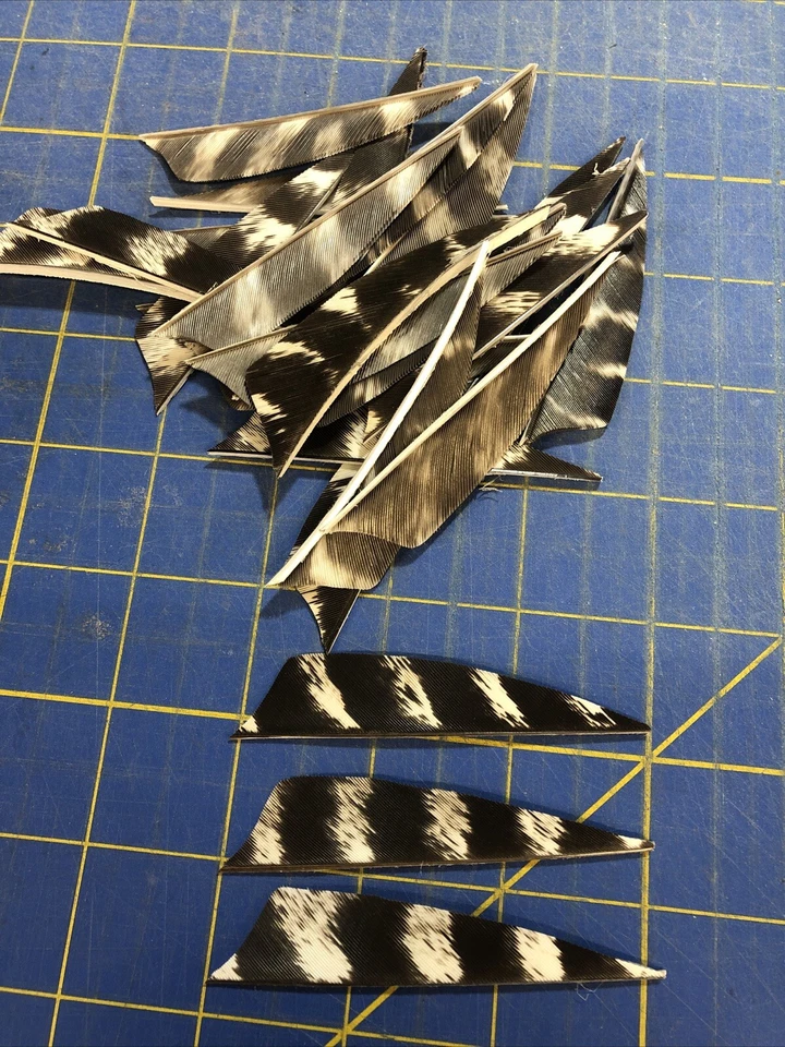 3" Right Wing Shield Natural Barred Feather Fletching, 25Pk Archery 🇺🇸 - Image 2 of 2