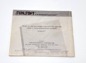 Gremlins 2: Die R&uuml;ckkehr der Superhelden Nintendo NES