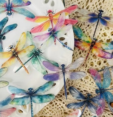 10x bunte Libelle Aufkleber Insekt Dekoration Gepäck Laptop Sammelalbum