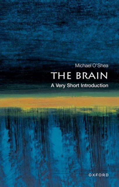 The Brain A Very Short Introduction by Michael  O'Shea (Paperback Book)
